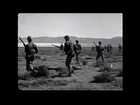 Synthax Xtructure - Defender