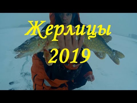 Жерлицы 2019 . Отличный клёв щуки на жерлицы в январе.
