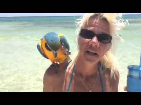Interview with Clarise the "Grayton Bird"! #30a #bird #graytonbeach #florida #beach