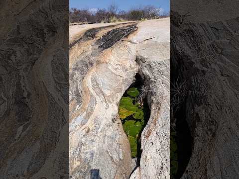 #serra #achamos#uma #fenda com #agua olho d'água