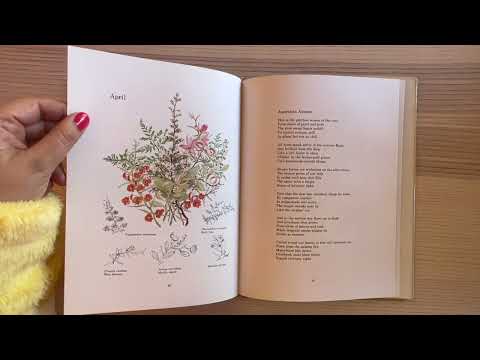 An Australian Wildflower Diary - a book flip through