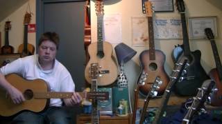 The Irish Rovers: "Brigid Flynn" (old guitar cover)