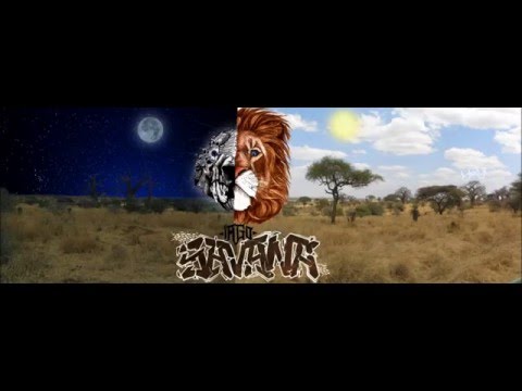 IAGO - 03. Troppo (Savana)