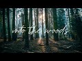 Into The Woods Acoustic Folk Pop Playlist In The Mysterious Wild