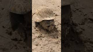 The Kakhovka reservoir bottom reveals WW2 soldiers skulls and remains.