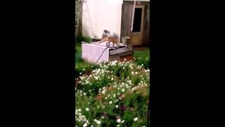 Рыбалка в чаузово алтайский край село