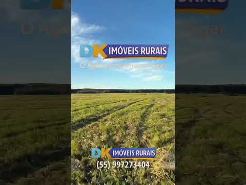 Arrendamento Rural | Oportunidades em Santana do Livramento, Santo Antônio das Missões e São Gabriel