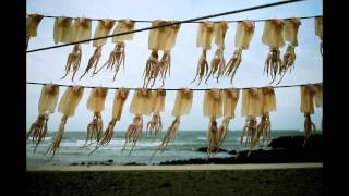 South Korea in Photos (song &quot;Sweet Lullaby&quot; by T-Bone Burnett)