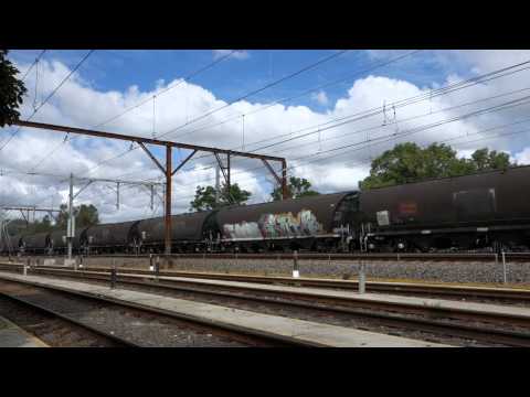 3 x 81 class and a Graincorp 48 class - 24/2/14