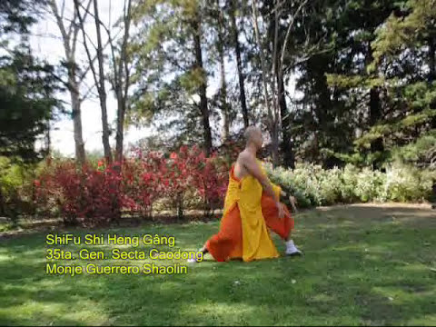 ☸️ TAOLU XIAO HONG QUAN + SHAOLIN ROU QUAN TAI CHI