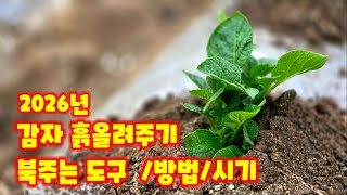 감자 북주기 흙올려주기 북삽 북호미 으로  수미감자 감물감자 괴산감자 단오감자  괴산군민 유튜브 크리에이터 …