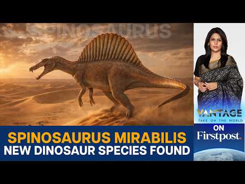 Scientists Discover New Dinosaur Species in Africa's Sahara Desert | Vantage With Palki Sharma