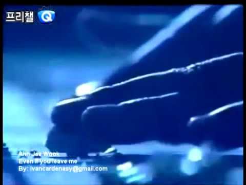 Un deseo en las estrellas