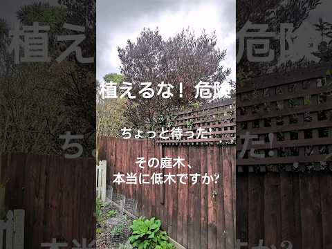 開花を促進するために2月に剪定する6つの低木  庭園