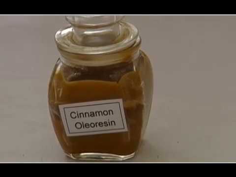 ASMEC 2015 Research Highlights