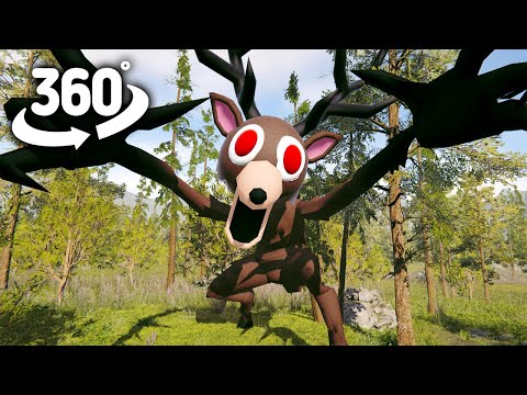 99 Night in the Forest | 360° VR