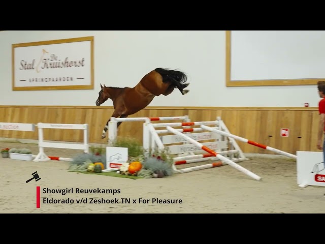 Showgirl Reuvekamps