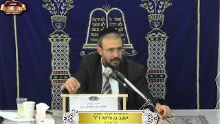 בית המדרש "תורת דוד" ¤ שידור חי ¤ י"ז טבת תשפ"ו (6.1.2026) (מוסדות תורת דוד) - התמונה מוצגת ישירות מתוך אתר האינטרנט יוטיוב. זכויות היוצרים בתמונה שייכות ליוצרה. קישור קרדיט למקור התוכן נמצא בתוך דף הסרטון