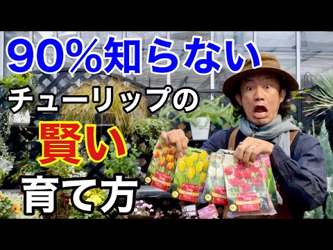 ガラスの中の球根: こうやって植物を育てます トピックス