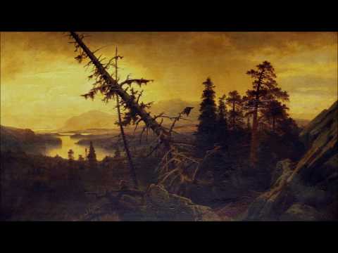 Burzum Ambient