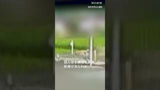 【熊本地震】活断層「日奈久断層」が出現する瞬間をとらえた映像