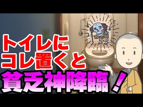 スリッパの花 植物