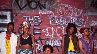 Arrested Development Dawn of the Dreads Instrumental