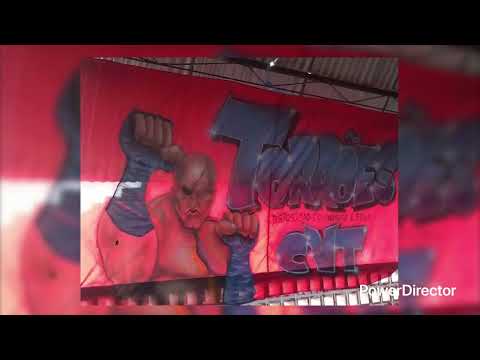 MC ARTE - C.V.T TORRÕES (FUNK DOS TORRÕES 2007) DJ ARTE MC 