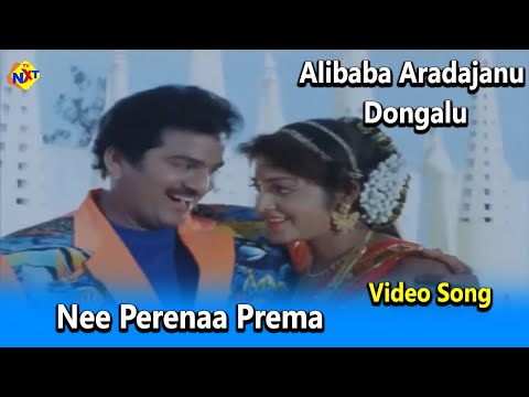 Nee Perenaa Prema Video Song |Alibaba Aradajanu Dongalu Video Songs |Rajendra Prasad | Ravali| TVNXT