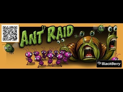 Ant Raid Video