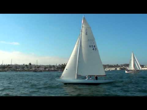 International 6M Sprig