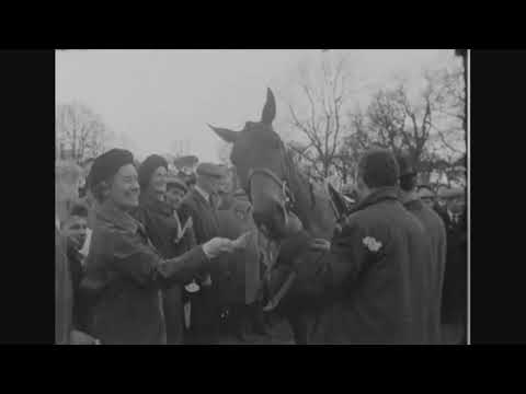 Billy Bop's Flashback Arkle Win At Leopardstown in Slow motion 1966