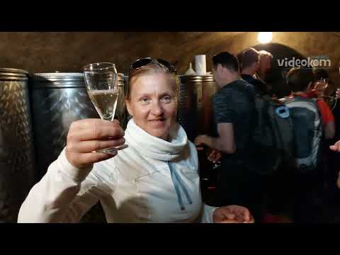 Turistično društvo Bizeljsko: Pot k repnicam 2023