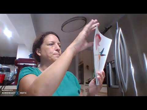 The Dancing Turtle a Folktale From Brazil