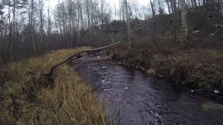 Воблер raiden bass minnow 50s