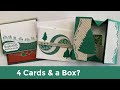 Curvy Celebrations Stampin' Up! & the Easiest Fun Fold Box Card Ever!