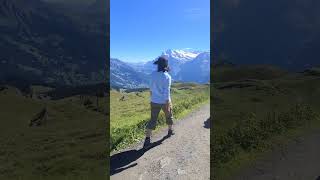 絶景🇨🇭アルプス散歩道❤️