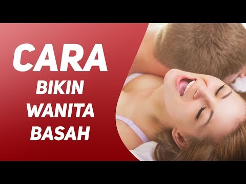Patogen yang terbaik untuk anak perempuan Chicory untuk potensi