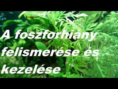 piperazin férgek kezelése aldazol tabletták férgek számára