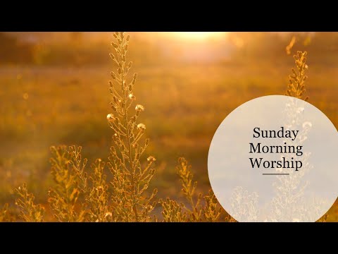 Subtle Bitterness - Tyler Sams