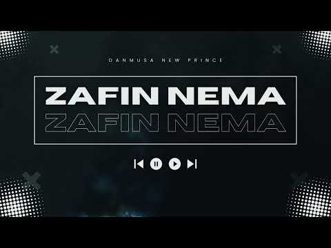 Danmusa New Prince - Zafin nema (Music Audio)