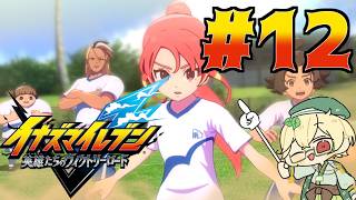 新作を全力で楽しみながらのんびり進めるヴィクロ　#12【イナズマイレブン 英雄たちのヴィクトリーロード】【ウィードール】