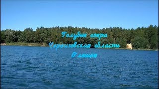 Ссылка