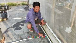 Download lagu SISTEM IRIGASI TETES MELON BY @melonials mp3 Download lagu SISTEM IRIGASI TETES MELON BY @melonials mp3