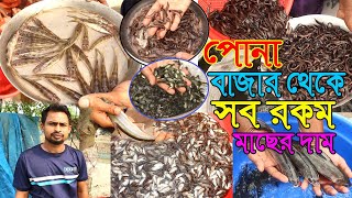 সব ধরনের ক্যাটফিস ও সাদা মাছের দাম যেনে নিন দেশের সর্ববৃহৎ মাছের পোনার বাজার থেকে।যশোর পোনা বাজার।।