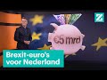 Nederlandse vissers dreigen miljoenen euro's mis te lopen  • Z zoekt uit