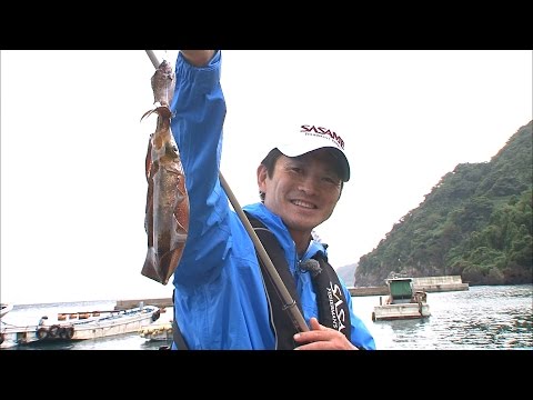 漁港でファミリーフィッシング　ウキ釣りでアオリイカを狙う！/四季の釣り/2016年10月14日OA