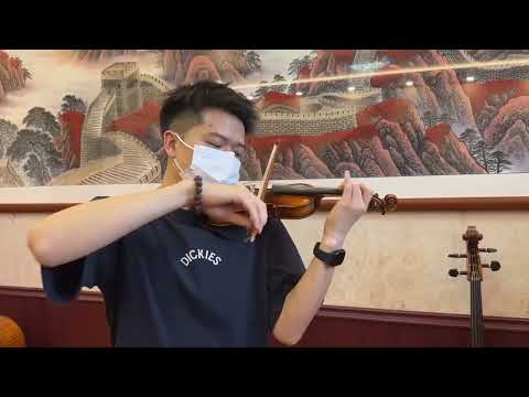 Handmade 1/8 Violin Outfit–European Wood, One Piece Back, Sweet Sound, Case &Bow image 8