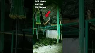 Download lagu NEKAT BANGET DEMI MELIHAT HANTU SERAM #shorts #trending #hantu mp3