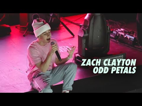 ZACH CLAYTON - ODD PETALS || LIVE IN SLC